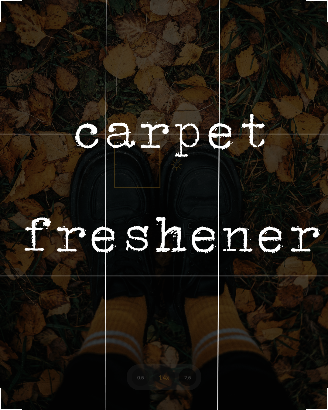 Carpet Freshener